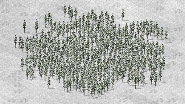 Pinetrees_WINTER.png